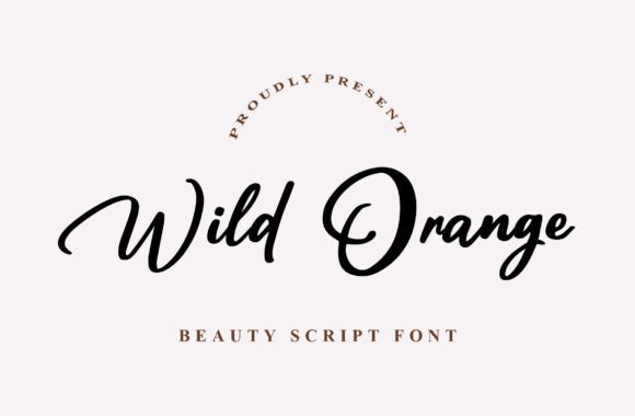 Wild Orange Script Font — Elegant Typography for Modern Design